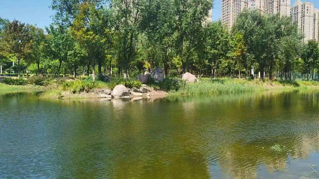 豫见两山 绿色答卷丨生态之旅——打卡“美丽河湖”天鹅湖、饮马河、白龟湖
