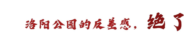 天呐，洛阳的这份「反差感」，绝了！