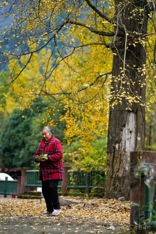 出发！来四川淘“金”