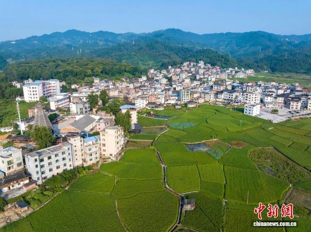 贵州从江：夏日田园景色美