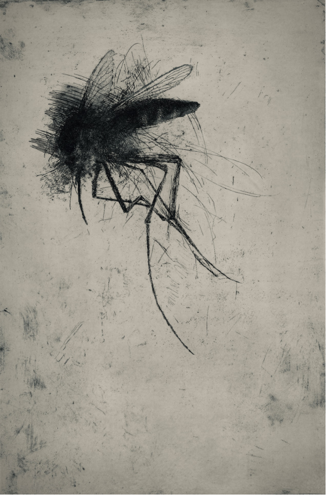 观念新、手段新、思想新！这场青年版画展“尽显青年气象”