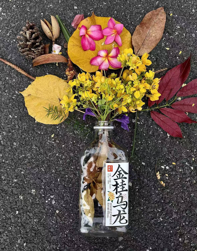 秋意渐浓，五彩斑斓朐城等你来打卡！