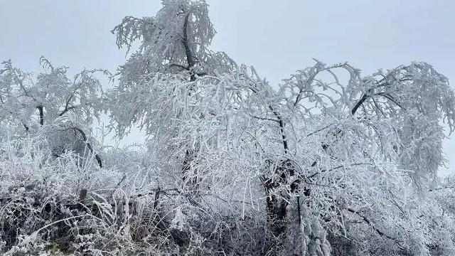 桂林全州变身冰雪童话世界，美不胜收→