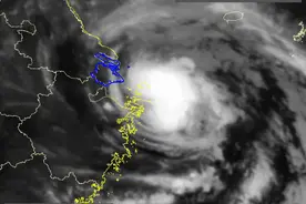 强台风影响合肥！大雨暴雨！10级大风来袭图片