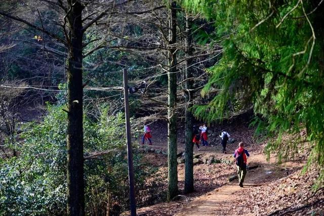 绝美！奉化这些宝藏步道，秋天走起正好→