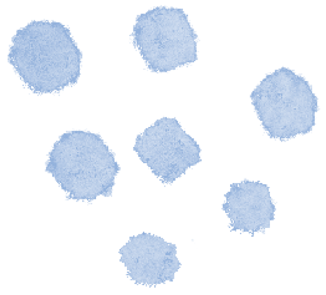青春集结！通江青年 “恋” 上耳乡的浪漫时刻