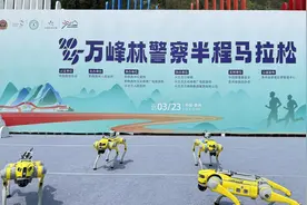 当AI机器狗闯进马拉松赛道，科技与奔跑擦出“火花”图片