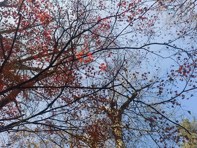 走进延边：长白山天池、延吉、图们、珲春行记