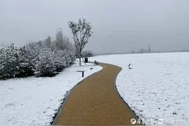 孙盛凛‖三百六十五里路图片