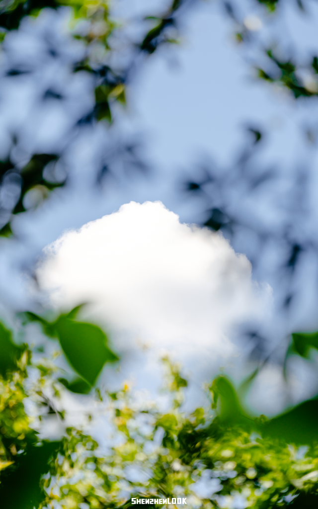 开在公园里的玻璃书房 · 深圳新安静空间