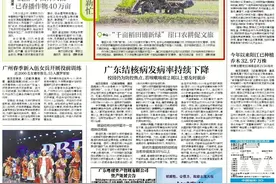 南方日报｜中山：“千亩稻田铺新绿”，崖口农耕促文旅图片