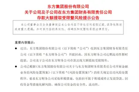 V观财报｜东方集团在东方财务公司存款大额提取受限，上交所急发函图片