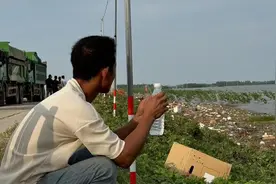 团洲垸决堤下的种植大户：400余亩水稻绝收，保险预估赔14万视频封面