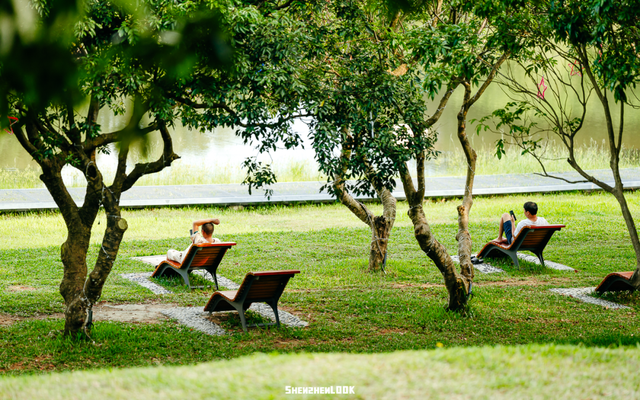 深圳环境五星的「网红公园」，不能再低调了