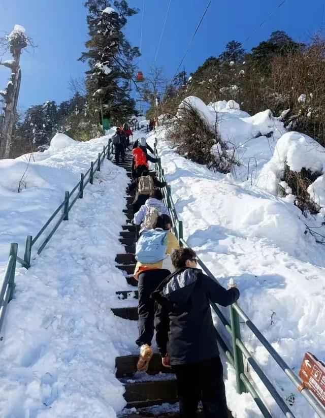 重磅！2025第八届瓦屋山冰雪嘉年华已经开启，即将解锁更多冬日新玩法！