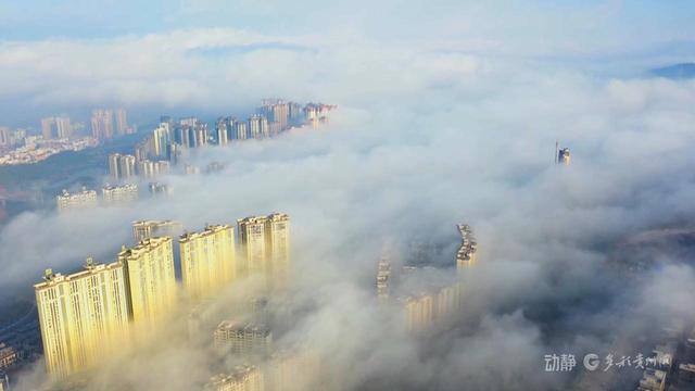 云海漫红果，仙境入画屏