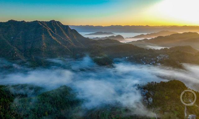 晨雾枫叶红 日出田园美