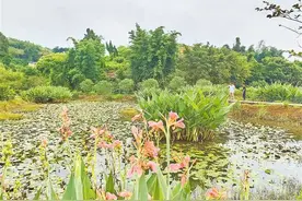 璧山农村黑臭水体变成良田和公园图片