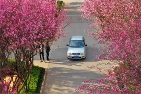 弥勒这个小区，太美了！忍不住去打卡~图片