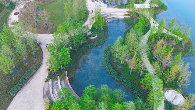 休闲打卡新去处！西岑科创小镇里竟藏了一个“生态公园”