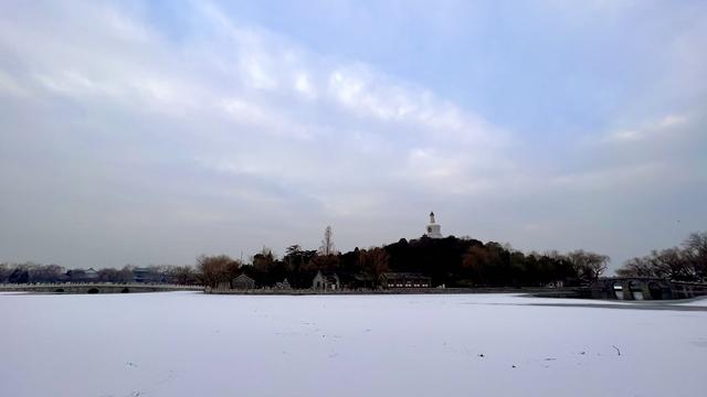雪后的北海，水鸟舞出冬日最灵动的画卷
