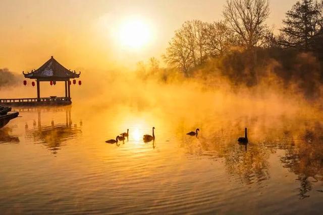 冬天，遇见不一样的潍坊！