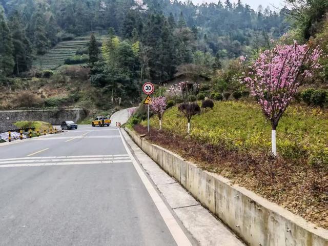 全国美丽公路!G351鹤峰段藏着多少惊喜?