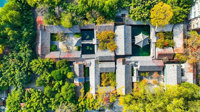 趵突泉公园开启变色模式，层林浸染触摸诗情画意