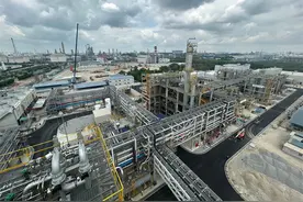中化三建承建的新加坡医用橡胶项目提前实现机械竣工图片