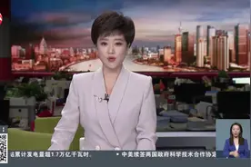 世界500强企业在上海：用“中国速度”往前冲视频封面