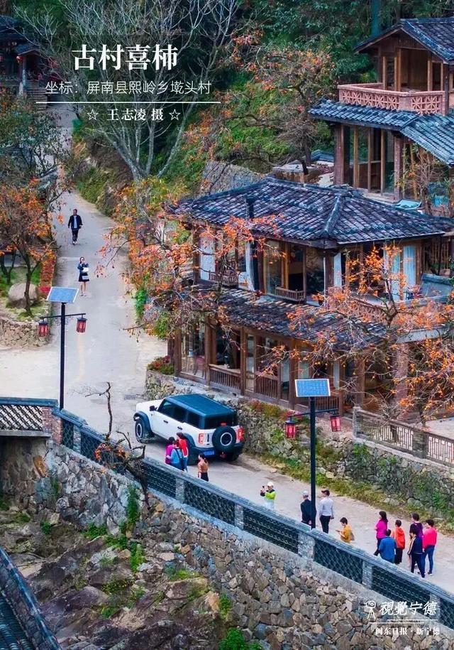 走！去屏南！这些柿子打卡点请收好→