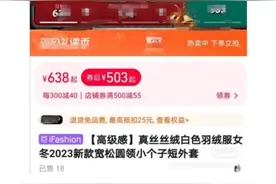 网购500多元羽绒服含绒仅13克？专家：新国标要看绒子含量图片