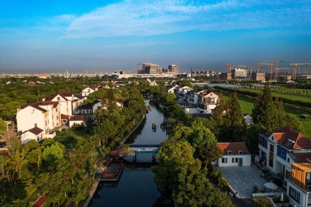 一日闲，两日慢，三日深度玩！满满年味看青浦→