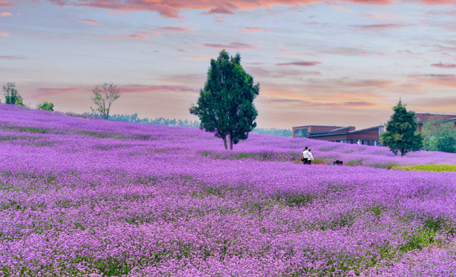 一周之内两次被外交部“种草”，红河凭什么？