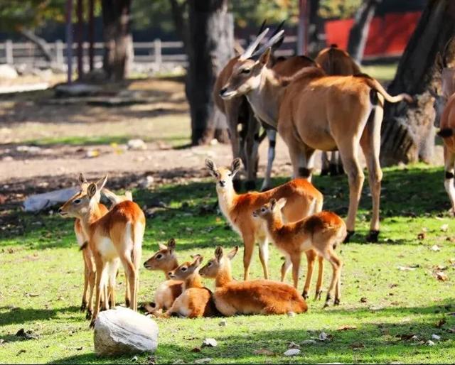 淡季优惠来了!这些秦岭景区向你发出冬日邀约