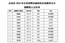 定边县2025年公开招聘县属国有企业财务会计人员拟聘人员的公示图片