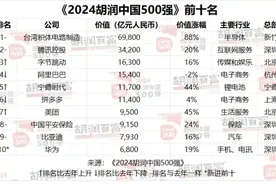 粤港澳大湾区108家企业上榜！2024胡润中国500强榜单发布→图片