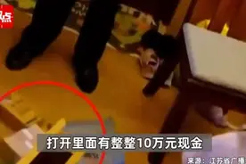 租客丢发霉米袋，发现内藏10万现金：果断报警，联系前任租客归还交接图片