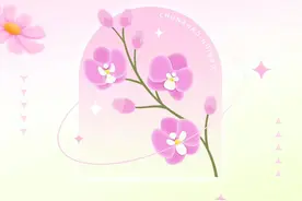 2024年第六届南明·永乐桃花跑 邀你共游桃花源图片