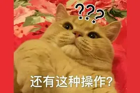 老公在顶楼养了30只鸡，成本还挺高，老婆说…………图片