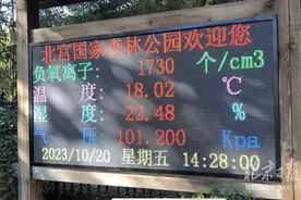 北京北宫森林公园上演秋日缤纷彩叶节图片