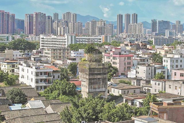 龙岗怪楼｜茶楼·跑街