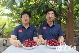 齐鲁石化省派第一书记助力樱桃销售 带动村民收入37万元图片