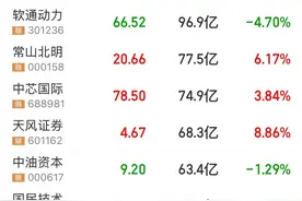 重组新龙头火了，封单可买下半数流通盘！利好储能，这类电池迎新突破图片