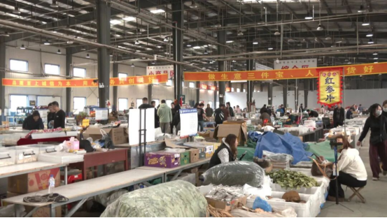 最美铁路・沈白高铁｜高山仰止，心向往之