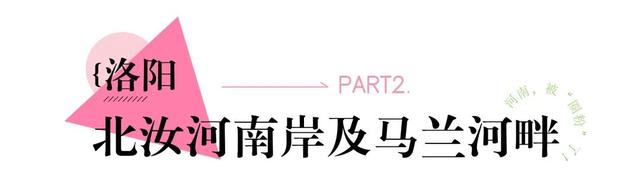 河南，被圈“粉”了！