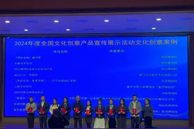 为何豫博文创“妇好鸮尊立体拼装积木”是创意案例？图片