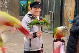 网友偶遇歌手赵传现身济南野生动物世界，与小小鸟梦幻联动，现场唱响《我是一只小小鸟》。图片