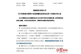10月已有4家四川上市公司发布增持公告，3家即将完成图片