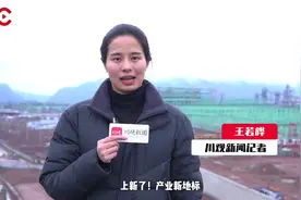 上新了！产业新地标⑦丨再造“新达钢”，新在哪儿？图片